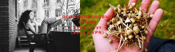 соль курить ск Аркадак