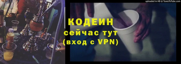 ГАЛЛЮЦИНОГЕННЫЕ ГРИБЫ Пестово